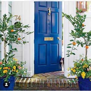 Meet your Posher, Vivian